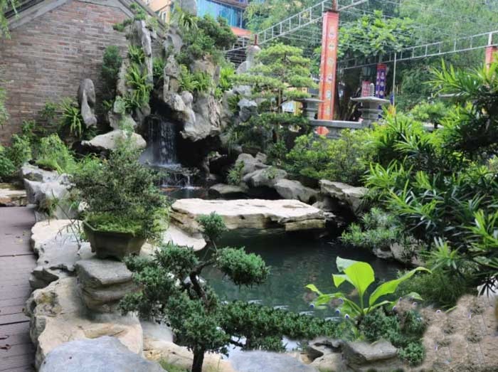 Thiết kế thi c&ocirc;ng hồ c&aacute; Koi tại Bu&ocirc;n Hồ