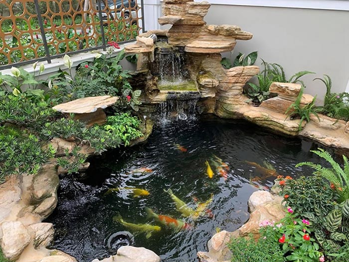 Thiết kế thi c&ocirc;ng hồ c&aacute; Koi tại Bu&ocirc;n Hồ