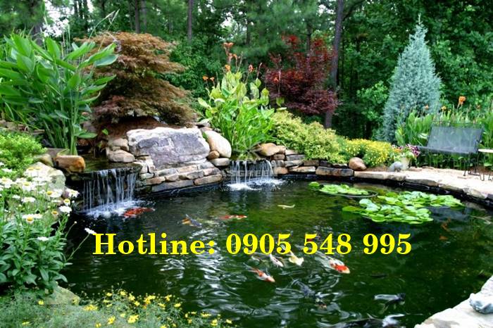 Thiết kế thi c&ocirc;ng hồ c&aacute; Koi tại Bu&ocirc;n Hồ