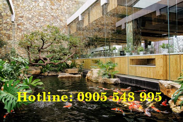 Thiết kế thi c&ocirc;ng hồ c&aacute; Koi tại Bu&ocirc;n Ma Thuột