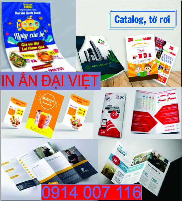 Thiết kế in brochure in catalogue in tờ rơi Điện Biên Phủ